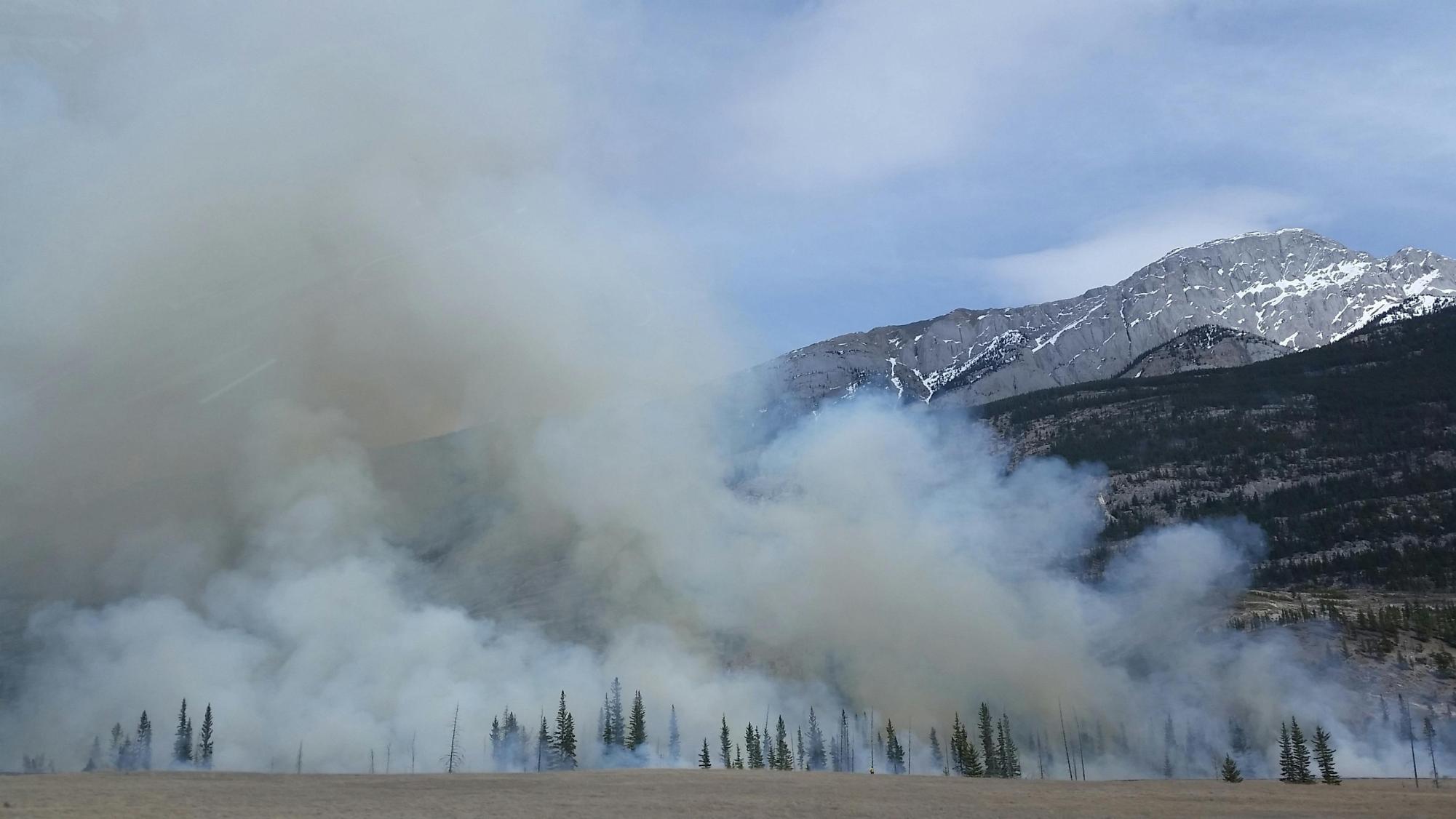 Wildfires Impact Mental Health As Well As The Environment