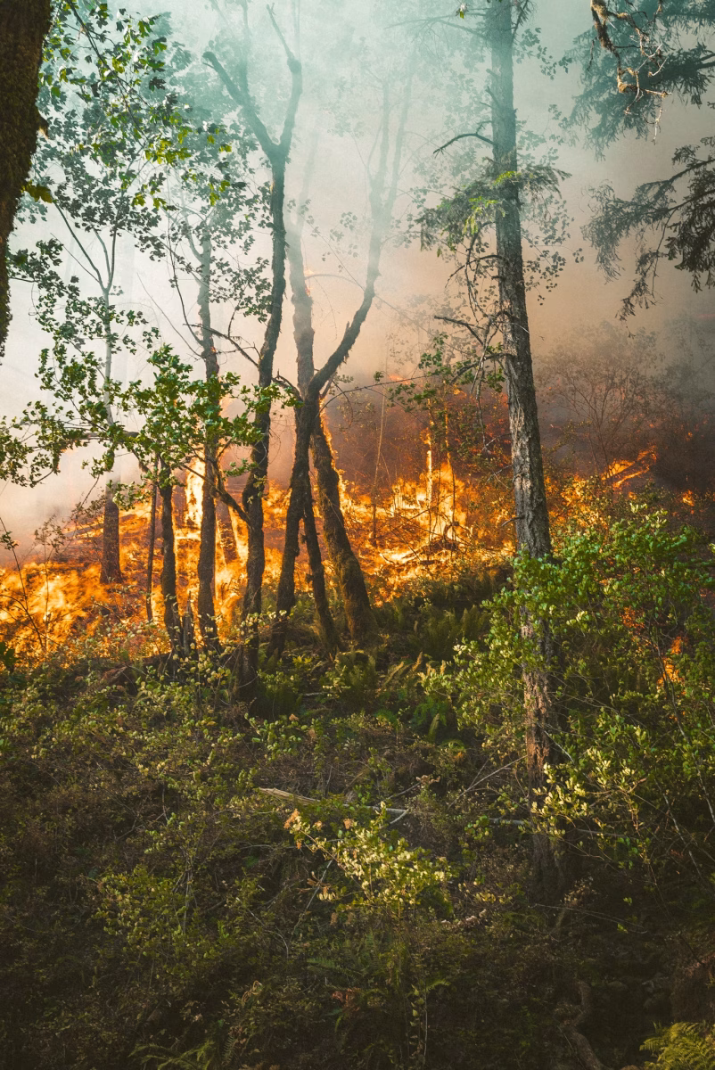 Wildfires in Portland, Oregon, 2018.